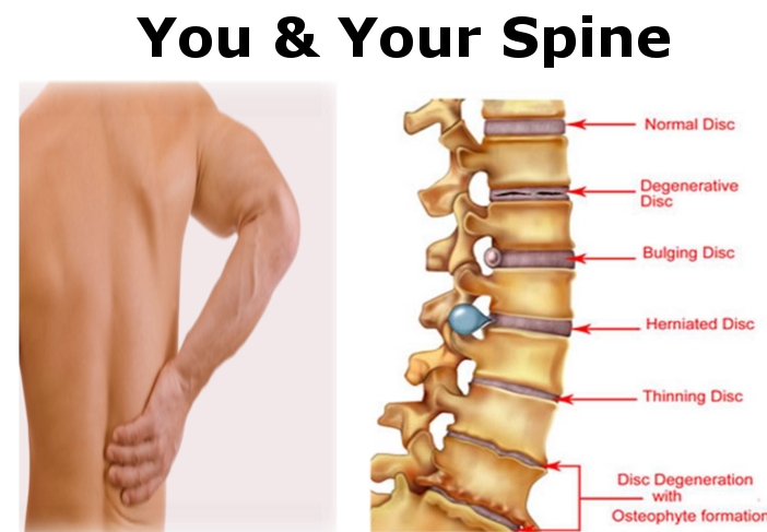 lumbar l5 s1