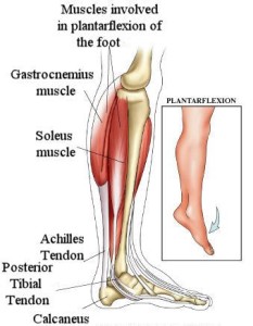 Do You Have Posterior Tibial Tendonitits? - Almawi Limited The Podiatry ...